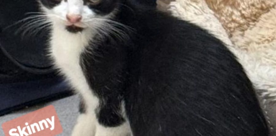 Pflegestelle Rhede M&M