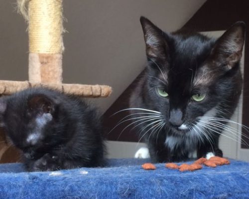 Miri und Bolle – Mami und Sohn