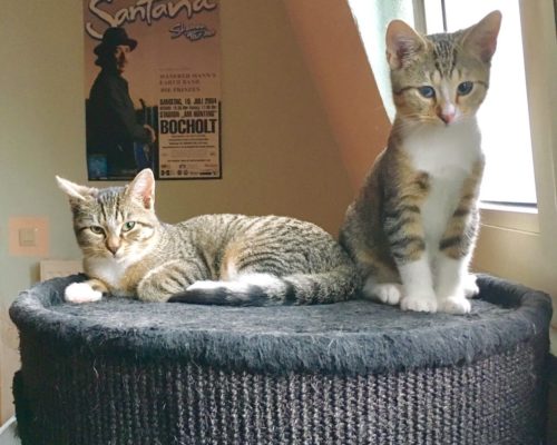 Chester und Betty