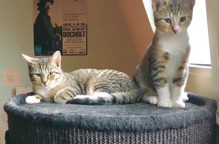 Chester und Betty