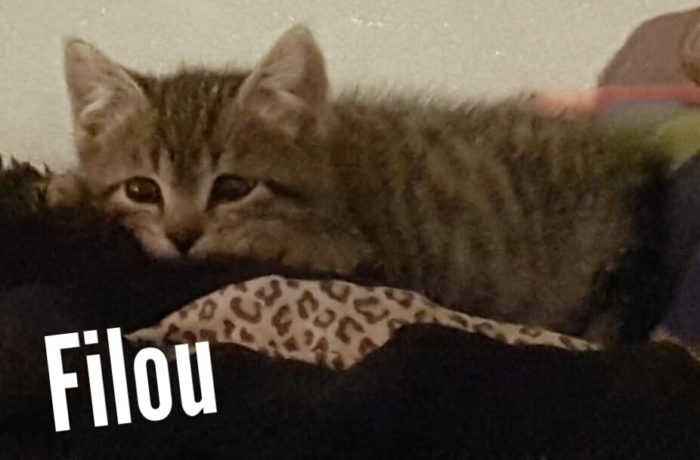 Fiona und Filou