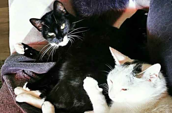 Ayouni und Daisy