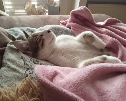 Matty und Peppito