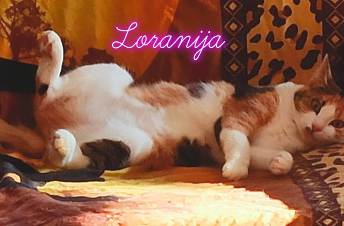 Pflegestelle Bocholt-Stenern = Vivien und Loranija