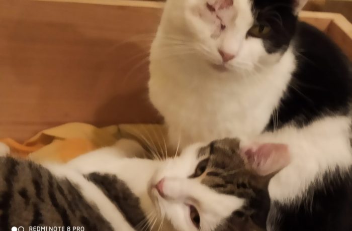 Chanti und Joel, Zoe