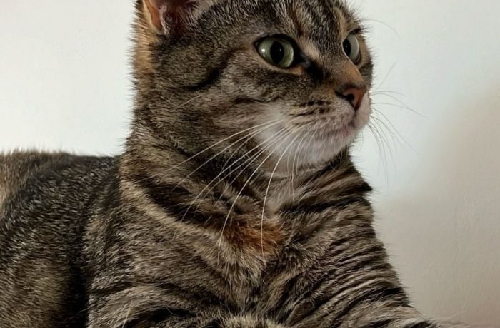 Pflegestelle Mehrhoog – Sabine, Emma – 5 Jahre