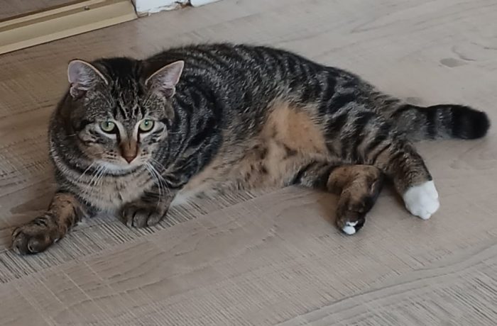 Pflegestelle Mehrhoog – Sabine