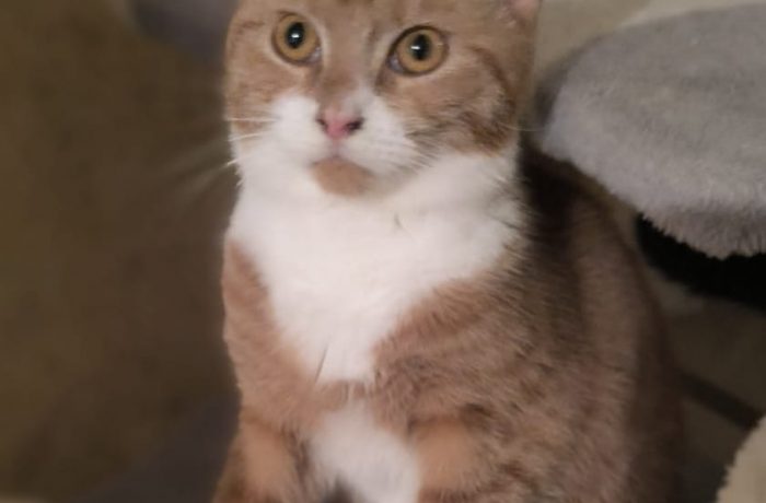 Pflegestelle Rhede V & H – Whisky, Spider, Motte